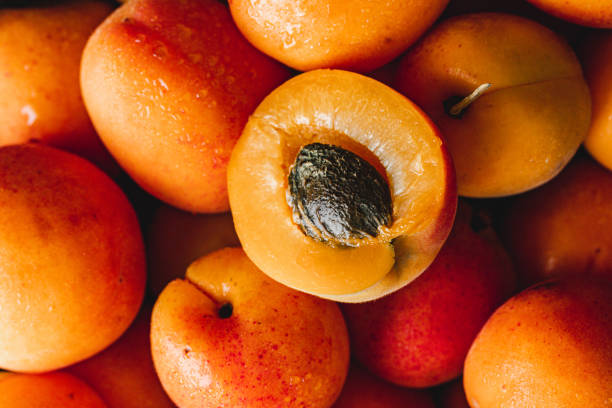 Peach and Apricot Kernels